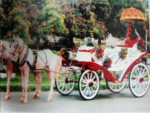 Rath for bride entry