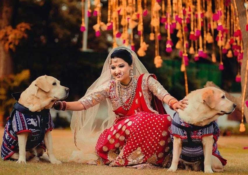 bride entry with Pet