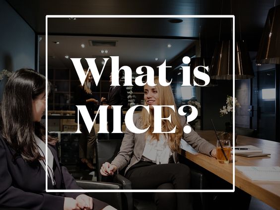 Top MICE Event organizer in Gurgaon, Noida, and Delhi