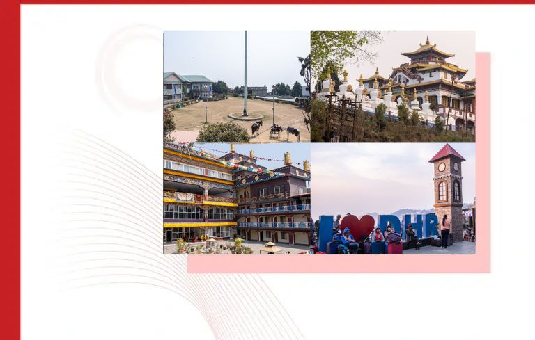 Corporate Offsite Event Organizers